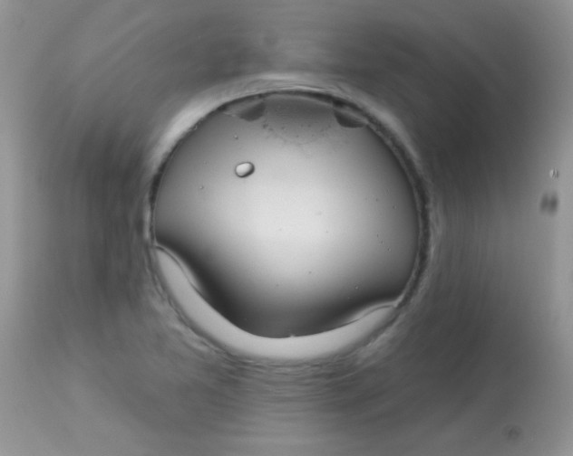 X0000113081365200909182039