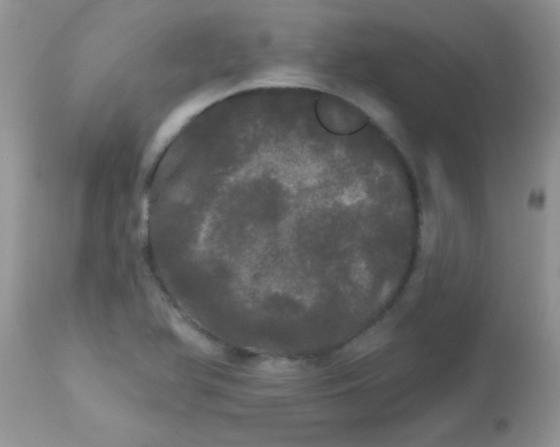 X0000113081366200909182039