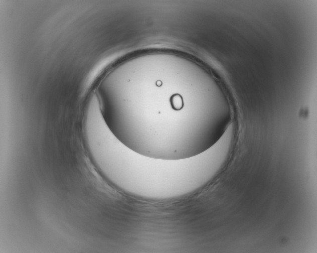 X0000113081368200909182039