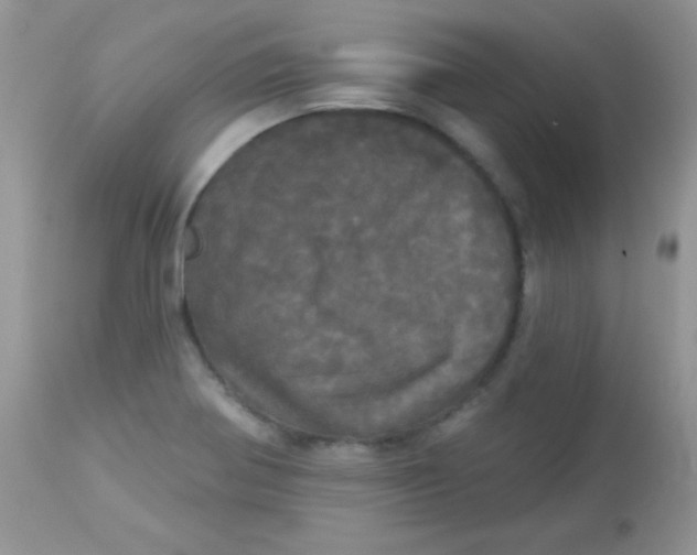 X0000113081370200909182039