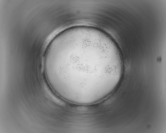 X0000113081371200909182039