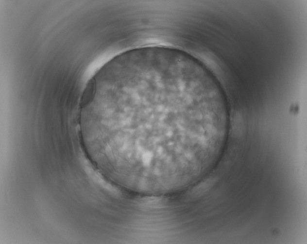 X0000113081373200909182039