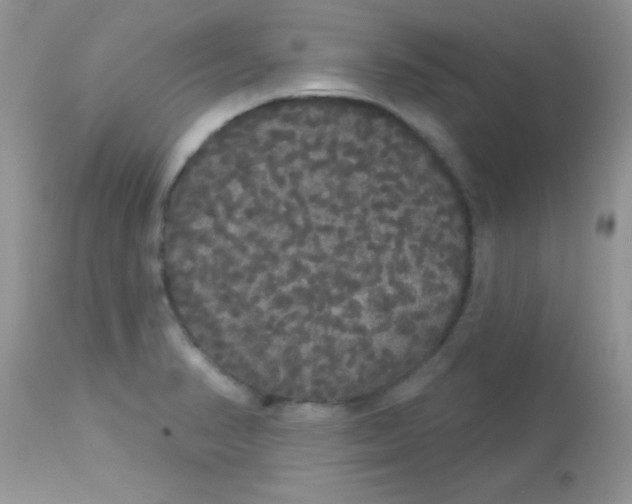 X0000113081374200909182039