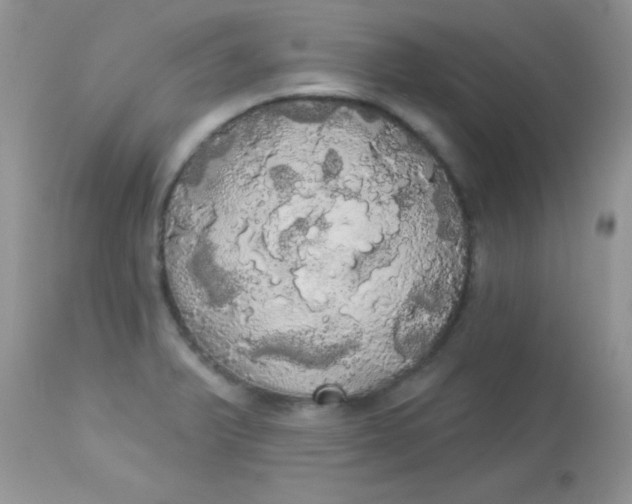 X0000113081375200909182039