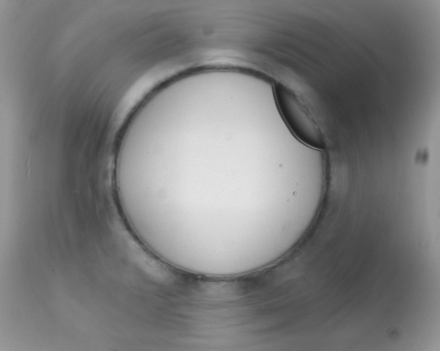 X0000113081376200909182039