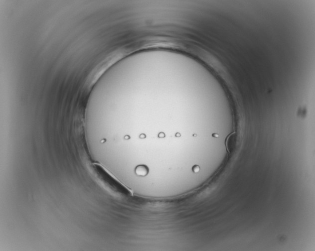 X0000113081377200909182039