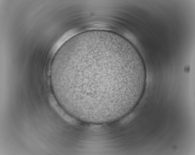 X0000113081378200909182039