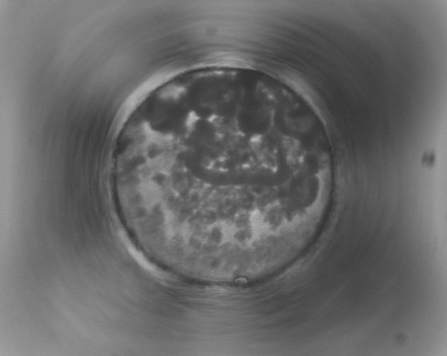 X0000113081379200909182039