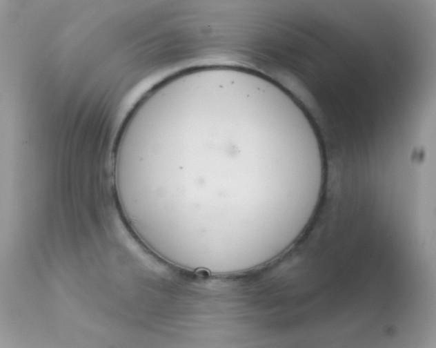 X0000113081380200909182039