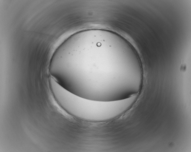 X0000113081381200909182039