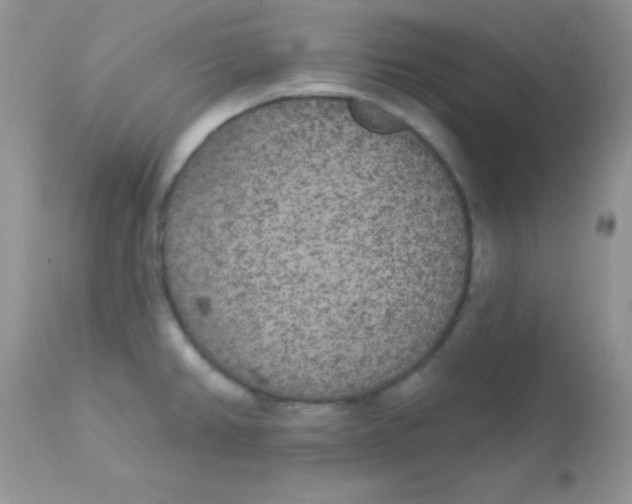 X0000113081382200909182039