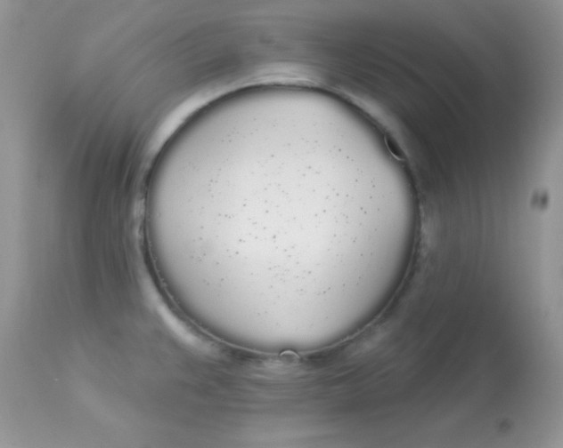 X0000113081383200909182039