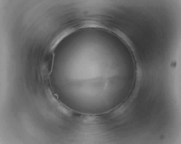 X0000113081385200909182039