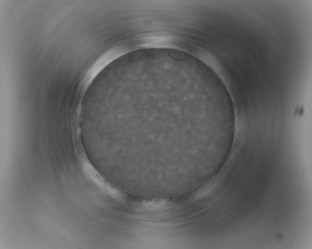 X0000113081386200909182039