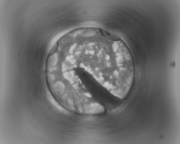 X0000113081387200909182039