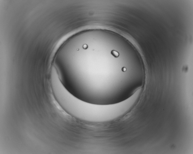 X0000113081388200909182039