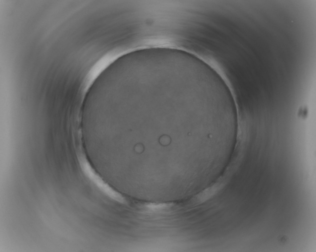 X0000113081389200909182039