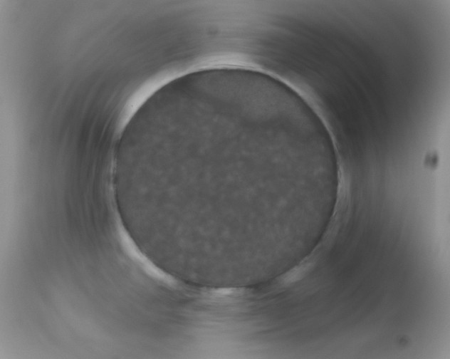 X0000113081390200909182039