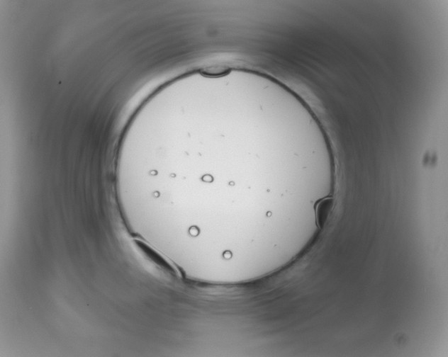 X0000113081392200909182039