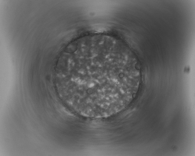 X0000113081393200909182038