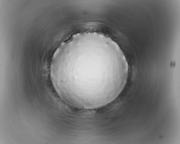 X0000113081394200909182038