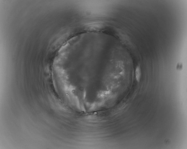 X0000113081395200909182038