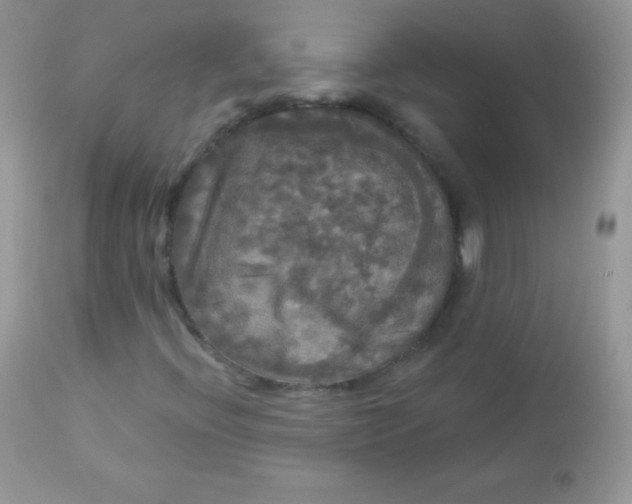 X0000113081396200909182038