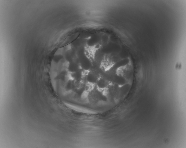 X0000113081397200909182038