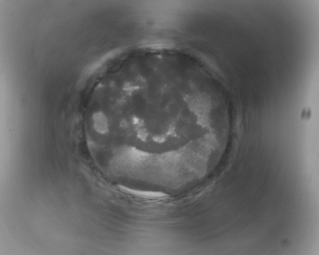 X0000113081398200909182038