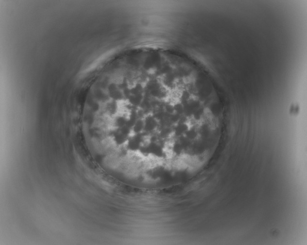 X0000113081399200909182038