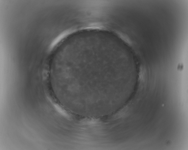 X0000113081400200909182038