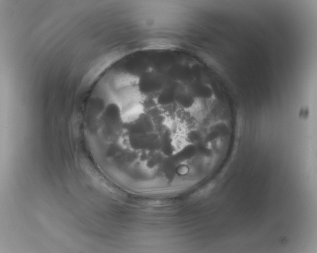 X0000113081401200909182038