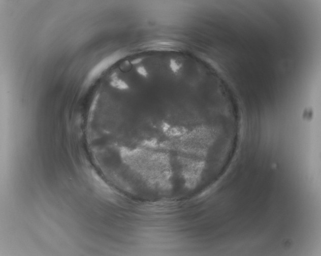 X0000113081402200909182038