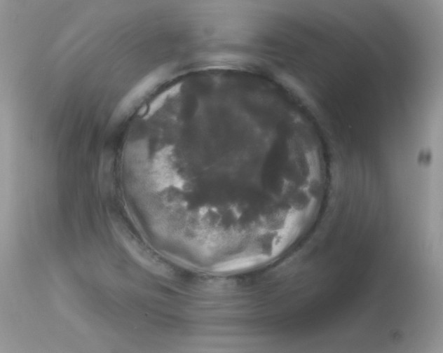 X0000113081403200909182038