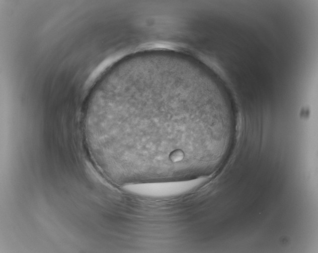 X0000113081404200909182038