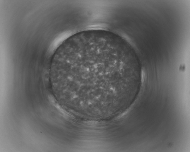 X0000113081405200909182038