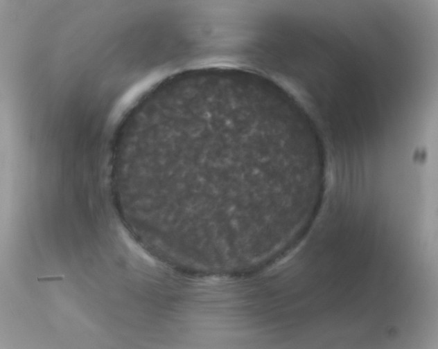 X0000113081406200909182038