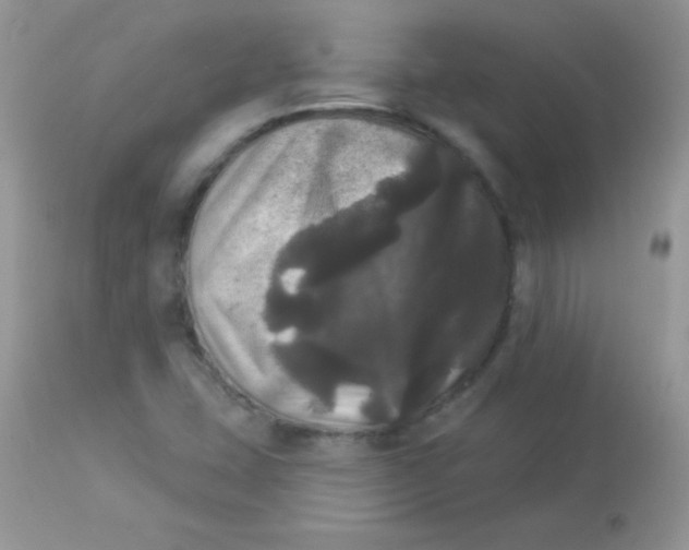 X0000113081407200909182038