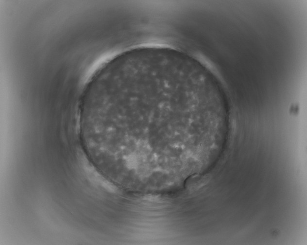 X0000113081408200909182038