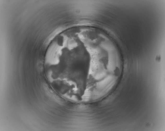 X0000113081409200909182038