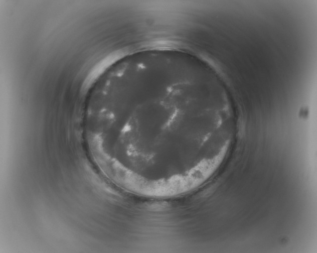 X0000113081410200909182038