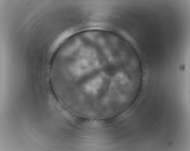 X0000113081411200909182038