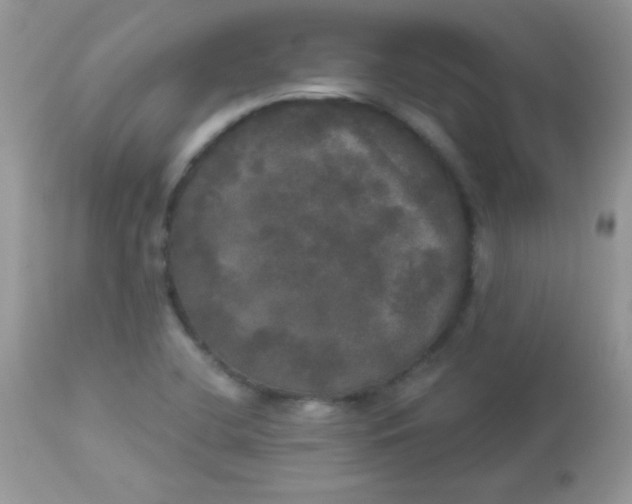 X0000113081412200909182038