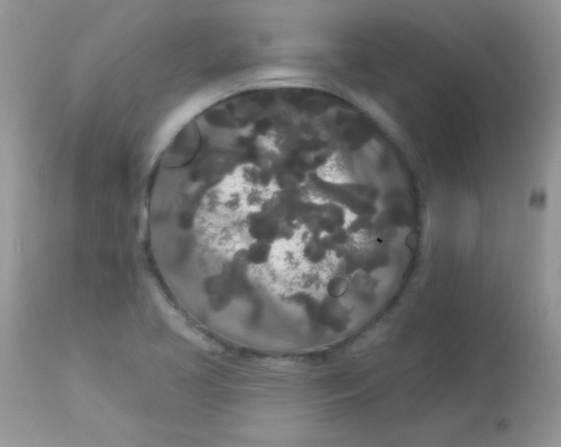 X0000113081413200909182038