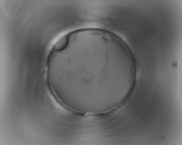 X0000113081414200909182038