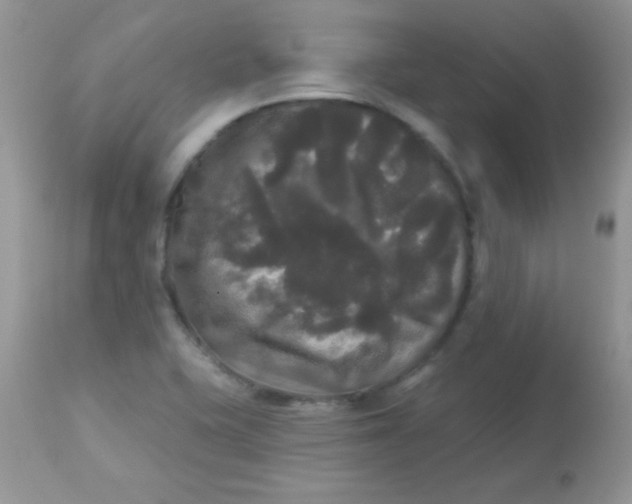 X0000113081415200909182038