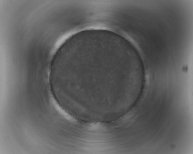 X0000113081416200909182038