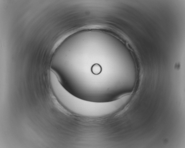 X0000113081417200909182038