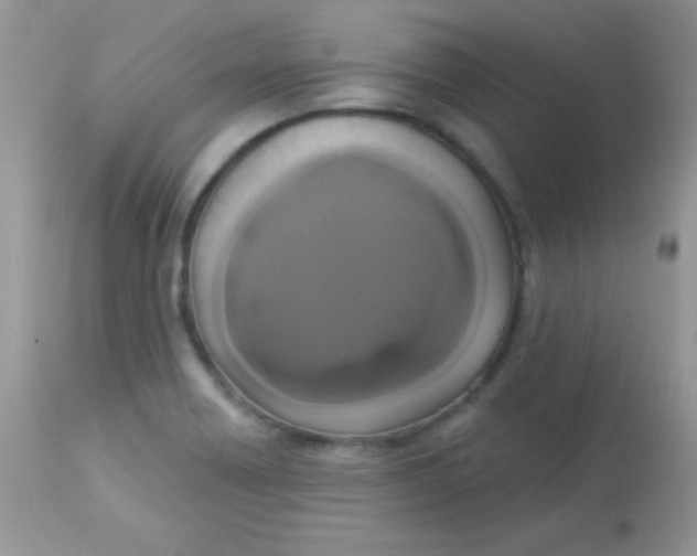 X0000113081418200909182038