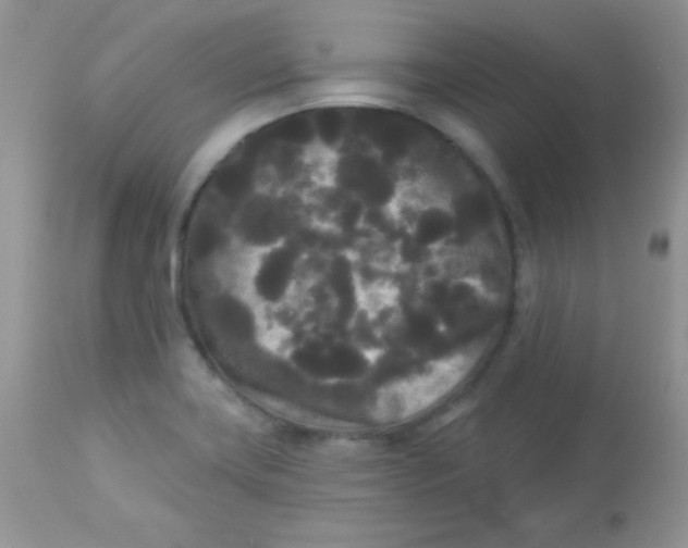 X0000113081419200909182038